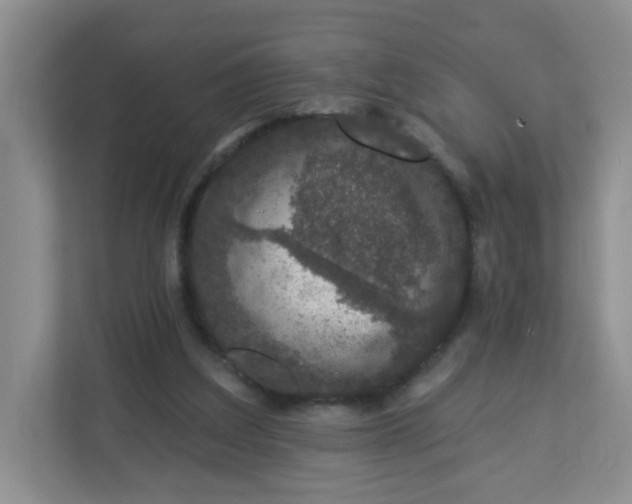 X0000113280203200909280958