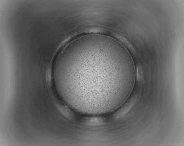 X0000113280204200909280958