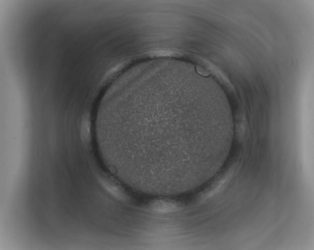 X0000113280207200909280958