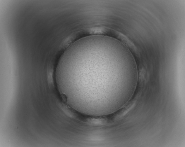 X0000113280209200909280958