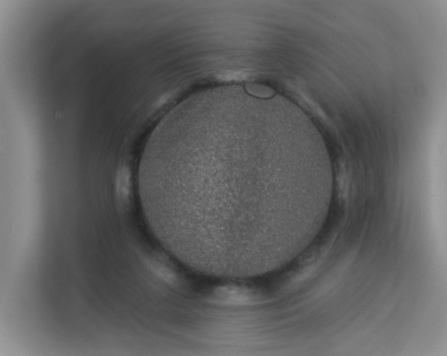 X0000113280211200909280958