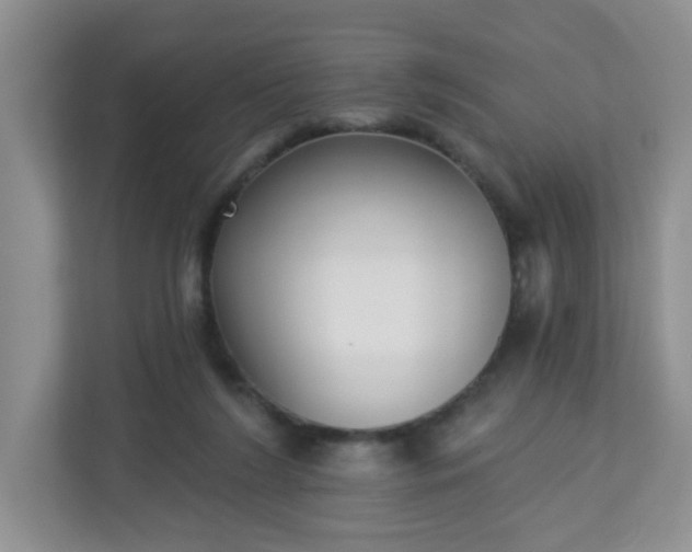 X0000113280212200909280958