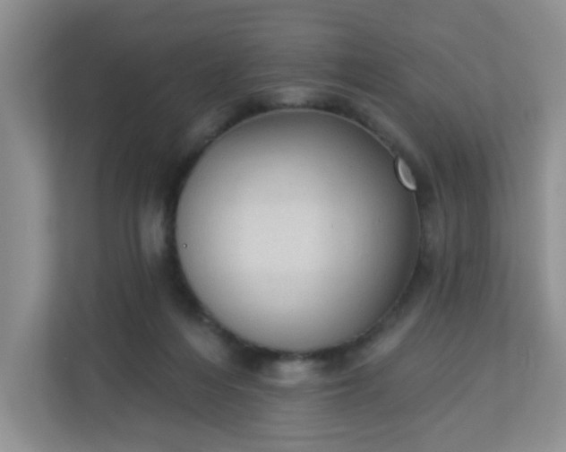 X0000113280216200909280958