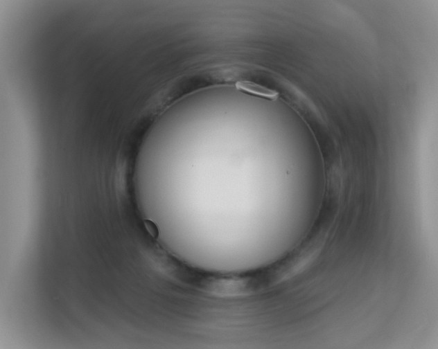 X0000113280217200909280958