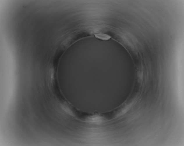 X0000113280219200909280958