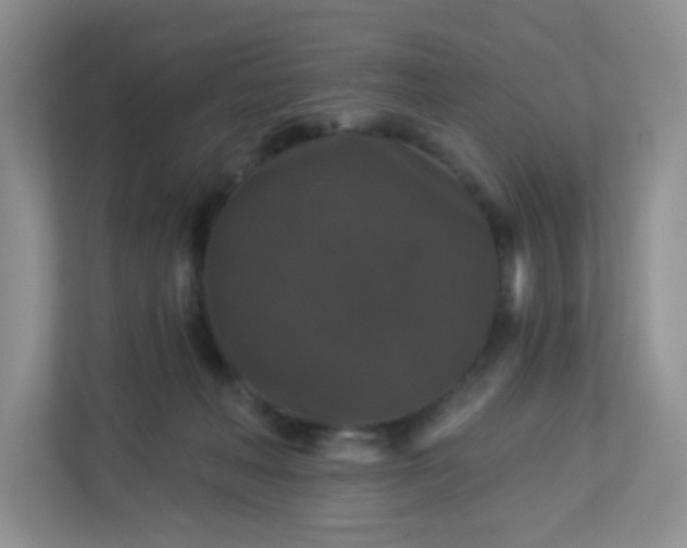 X0000113280222200909280958