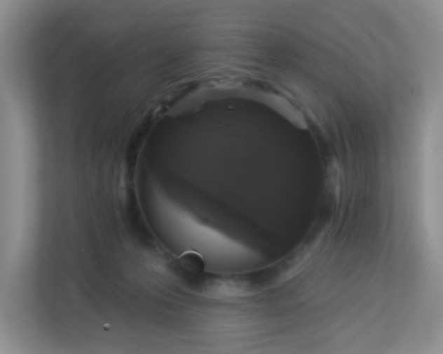 X0000113280223200909280958