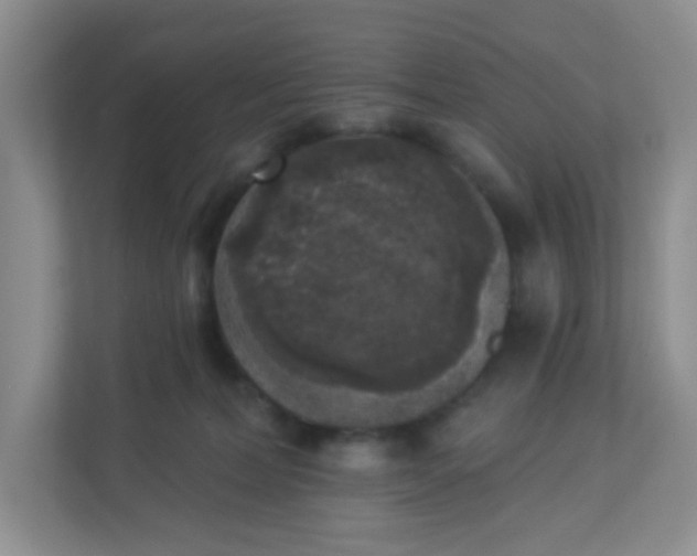 X0000113280228200909280958