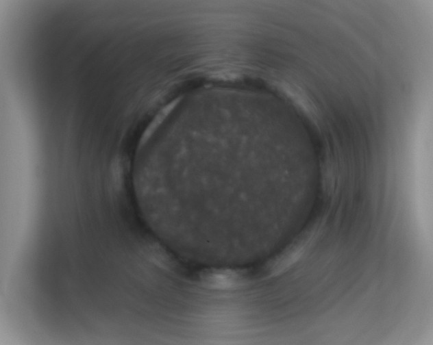 X0000113280229200909280958