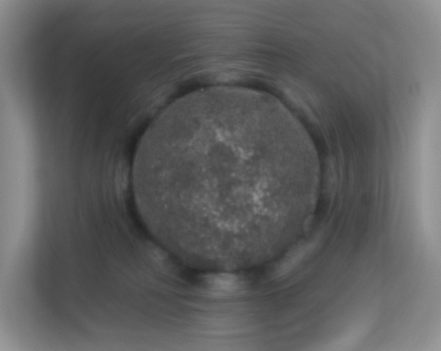 X0000113280230200909280958