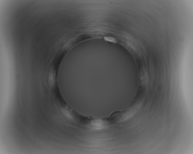 X0000113280231200909280958