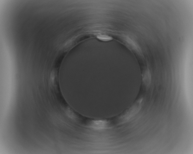 X0000113280233200909280958