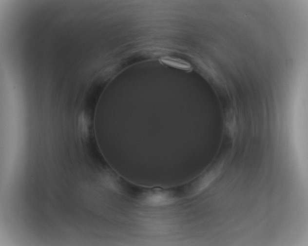 X0000113280235200909280958