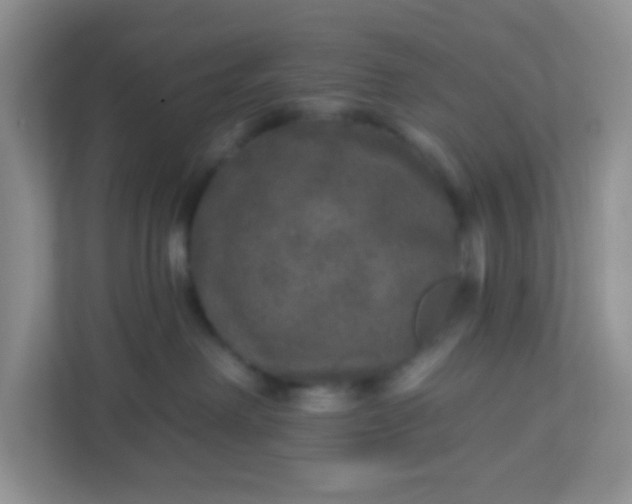 X0000113280238200909280958