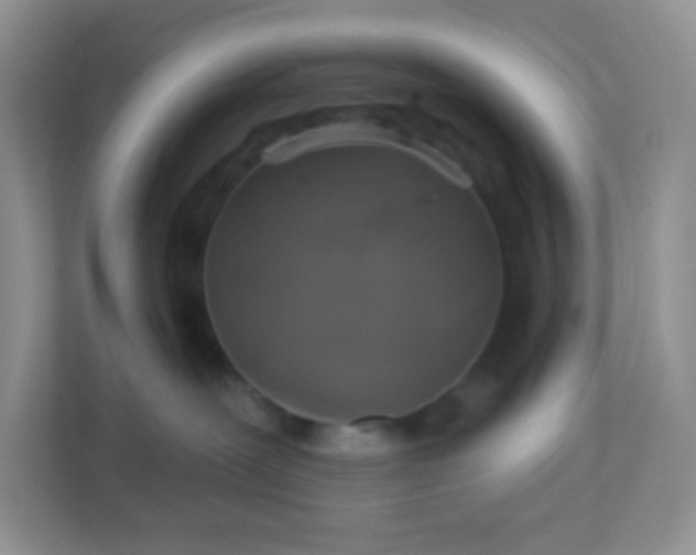 X0000113280239200909280958