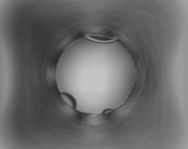 X0000113280240200909280958