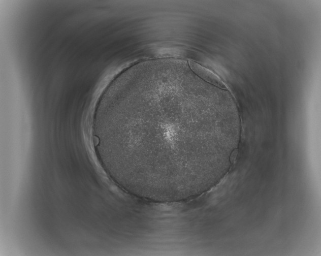 X0000113280241200909280957