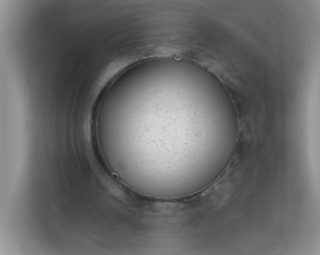 X0000113280242200909280957