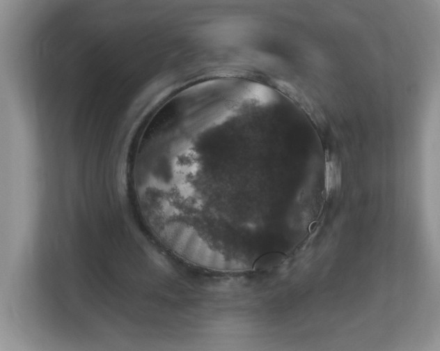 X0000113280243200909280957