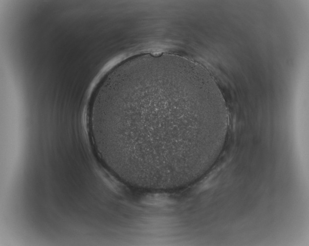 X0000113280244200909280957