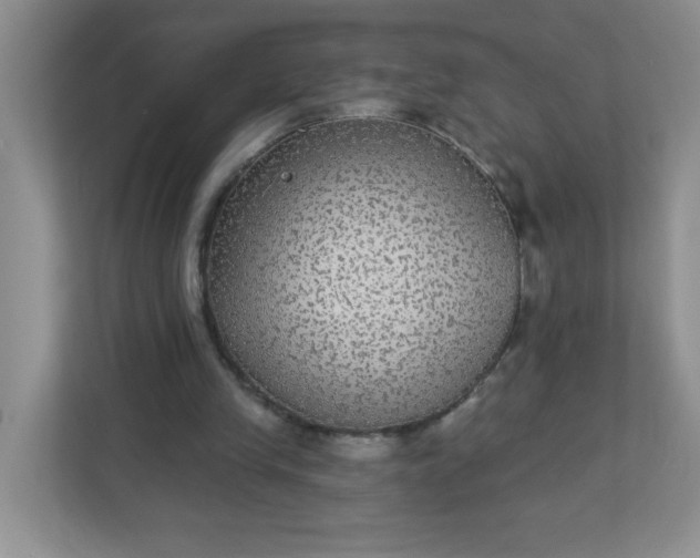 X0000113280245200909280957