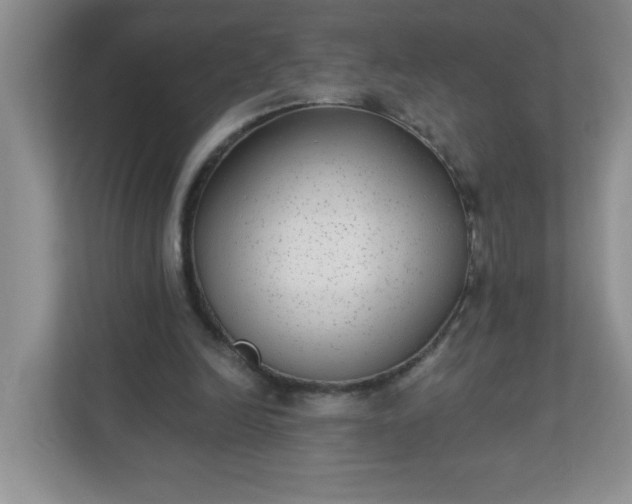 X0000113280246200909280957