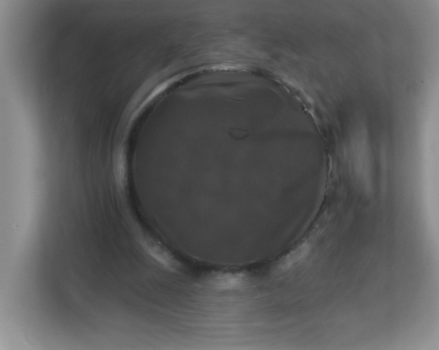 X0000113280247200909280957