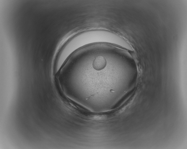 X0000113280248200909280957