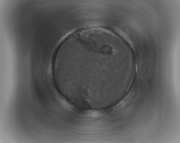 X0000113280249200909280957