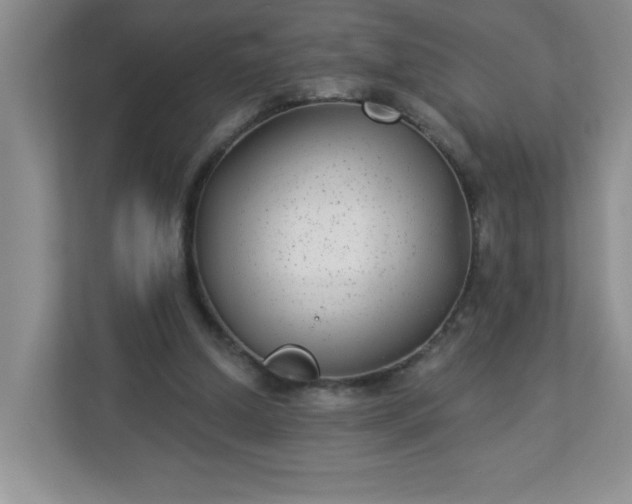 X0000113280250200909280957