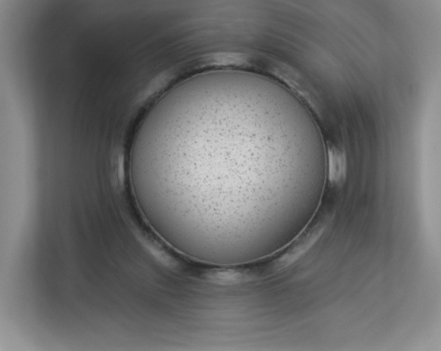 X0000113280253200909280957