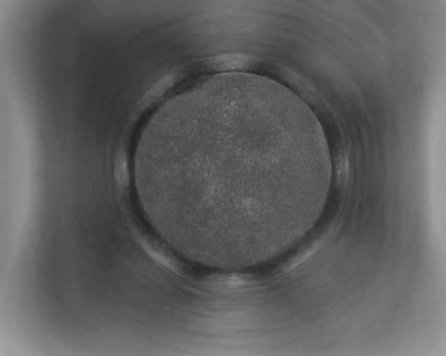 X0000113280254200909280957