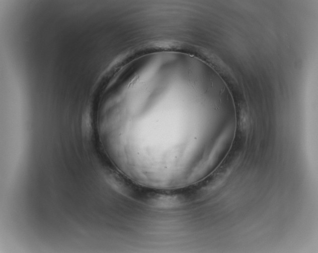 X0000113280256200909280957