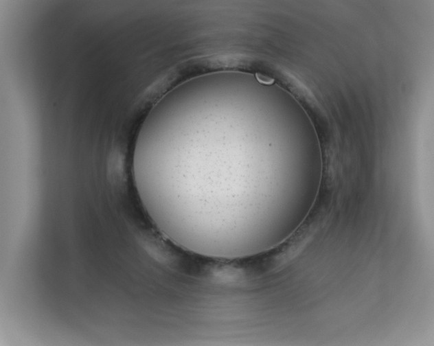 X0000113280258200909280957