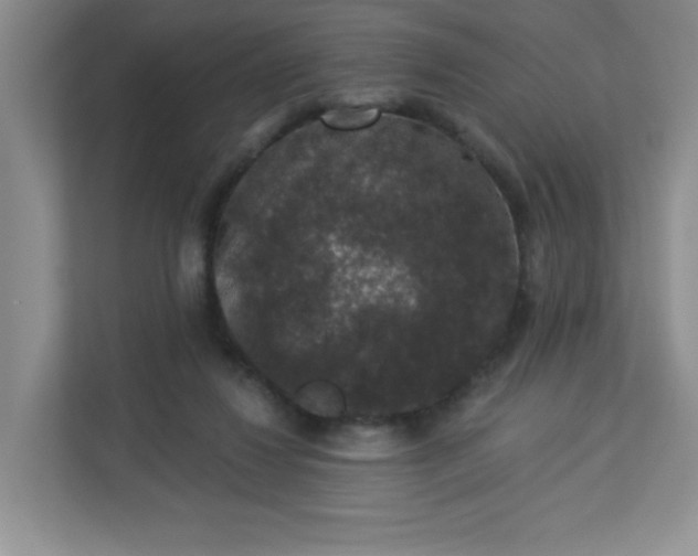 X0000113280260200909280958