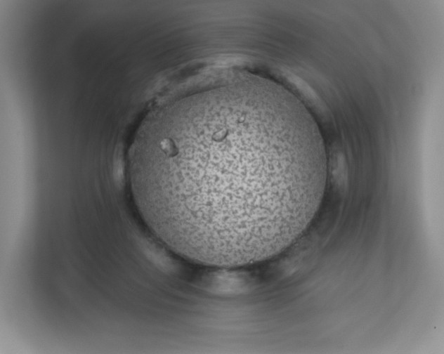 X0000113280261200909280958