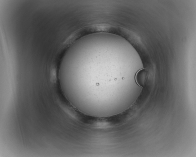 X0000113280262200909280958