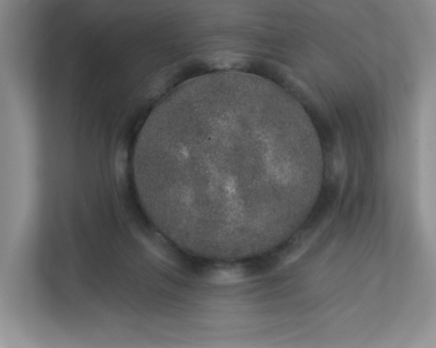 X0000113280263200909280958