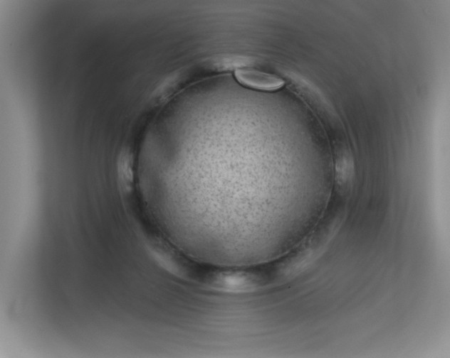 X0000113280264200909280958