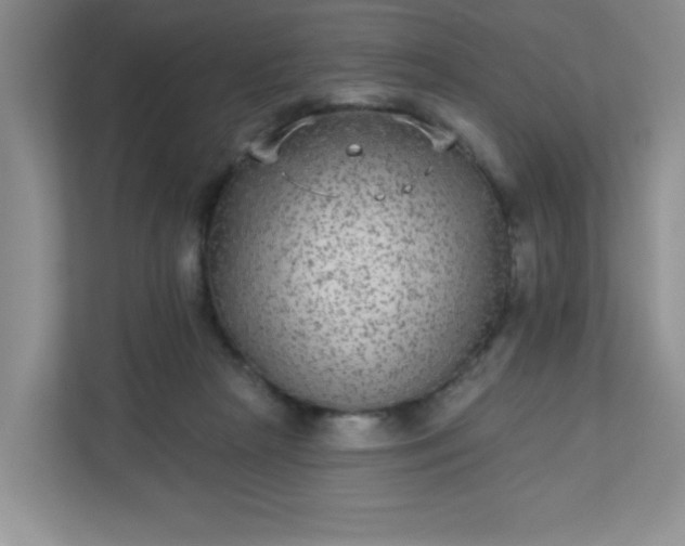 X0000113280265200909280958