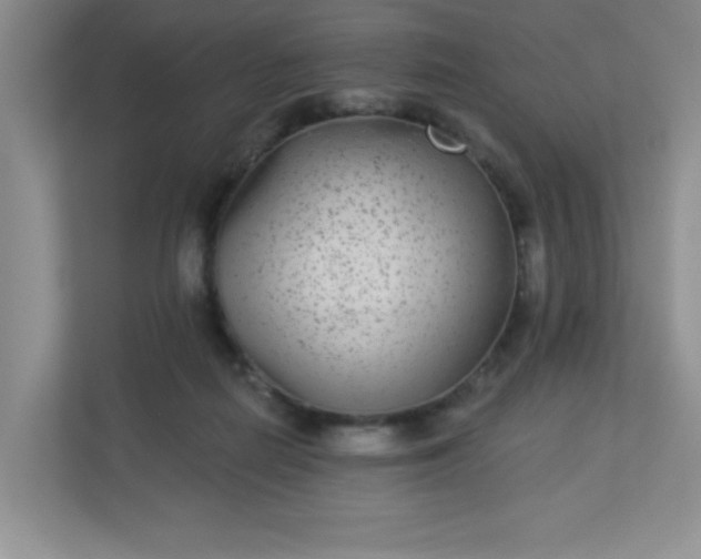 X0000113280266200909280958