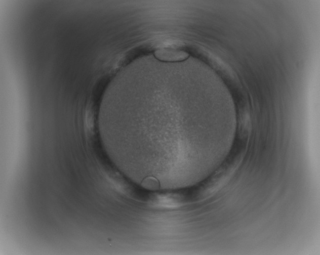 X0000113280268200909280958