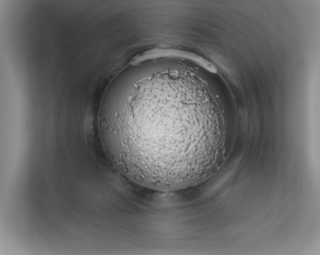 X0000113280269200909280958