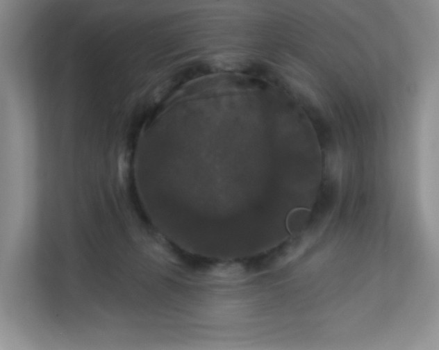 X0000113280271200909280958