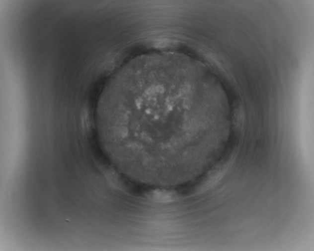 X0000113280272200909280958