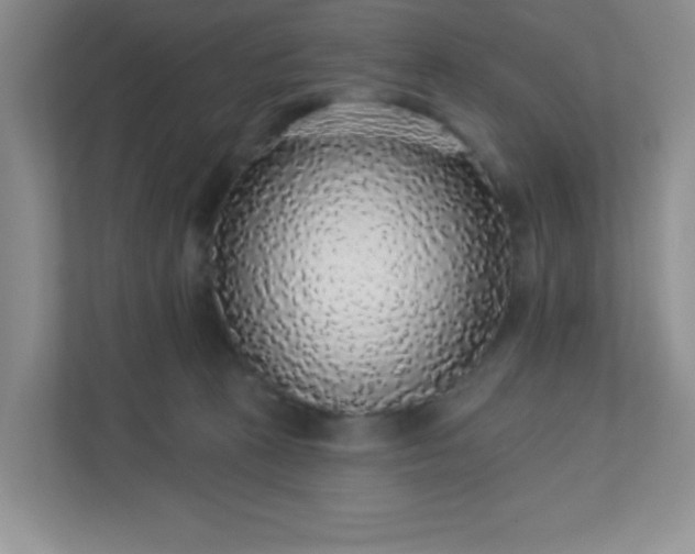 X0000113280273200909280958