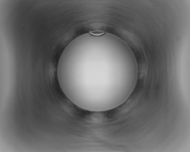 X0000113280279200909280958