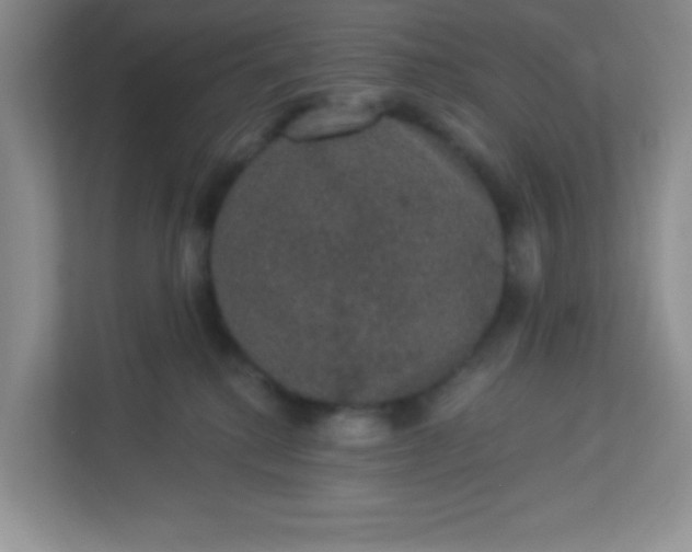 X0000113280280200909280958