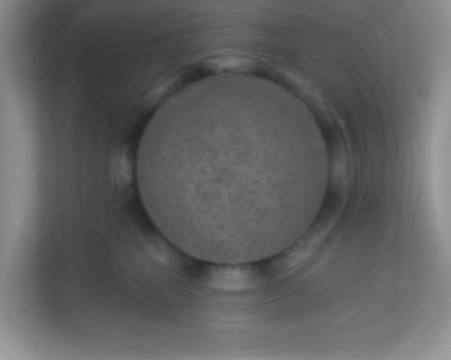 X0000113280282200909280958