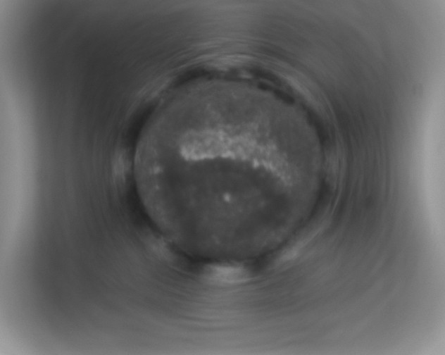 X0000113280284200909280958